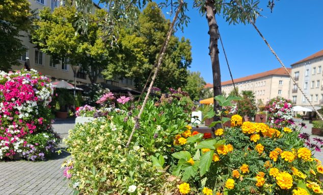 Dessau kleiner Markt